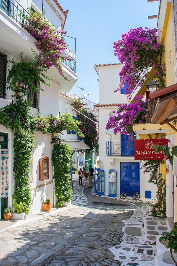 Mikri Gonia Villa Skiathos Exterior photo